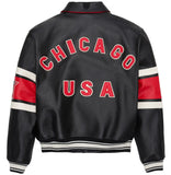 avirex-city-series-chicago-leather-jacket-black-back