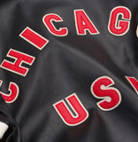 avirex-city-series-chicago-leather-jacket-black-embroidery-back